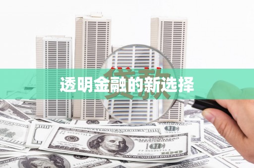 龙文透明金融的新选择