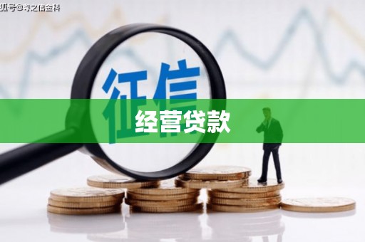 威宁经营贷款