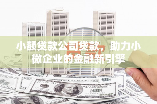 沙湾小额贷款公司贷款，助力小微企业的金融新引擎