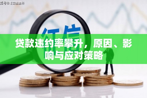 思南贷款违约率攀升，原因、影响与应对策略