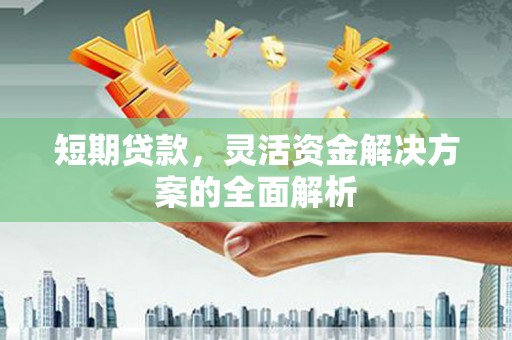 崁顶短期贷款，灵活资金解决方案的全面解析