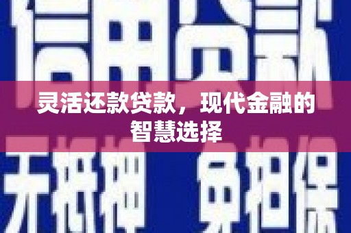 正安灵活还款贷款，现代金融的智慧选择