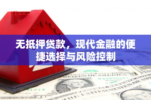 南陵无抵押贷款，现代金融的便捷选择与风险控制