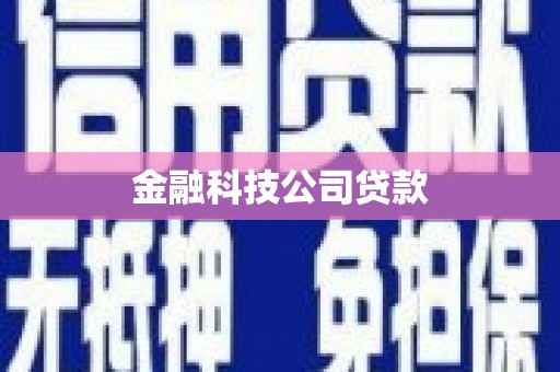 武威金融科技公司贷款