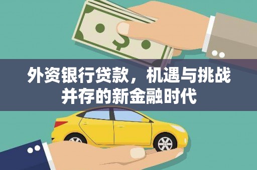 固始外资银行贷款，机遇与挑战并存的新金融时代