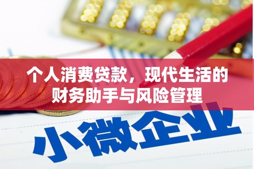 天元个人消费贷款，现代生活的财务助手与风险管理