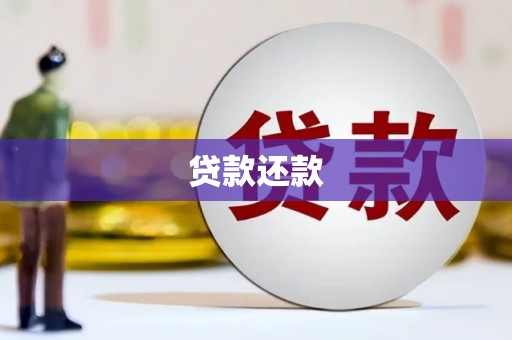 丰城贷款还款