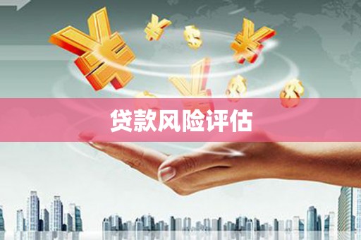 布拖贷款风险评估