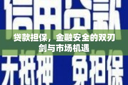 庄浪贷款担保，金融安全的双刃剑与市场机遇