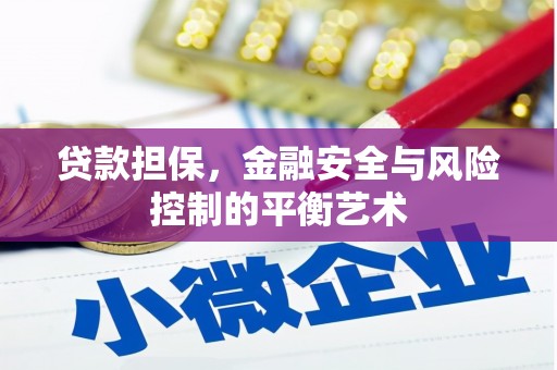绥阳贷款担保，金融安全与风险控制的平衡艺术