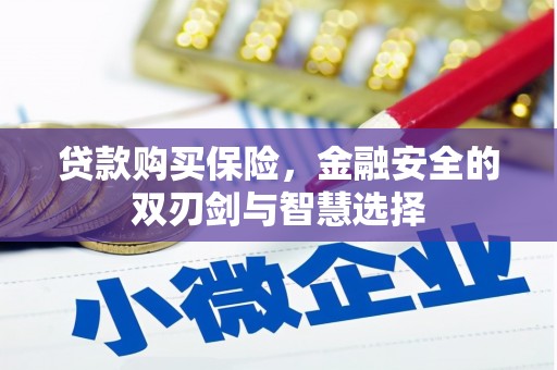 海兴贷款购买保险，金融安全的双刃剑与智慧选择