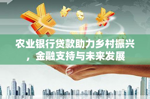 永济农业银行贷款助力乡村振兴，金融支持与未来发展