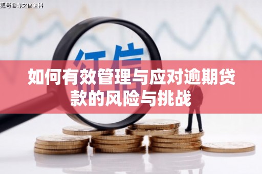 和顺如何有效管理与应对逾期贷款的风险与挑战