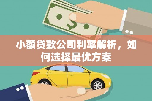剑阁小额贷款公司利率解析，如何选择最优方案