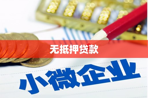 上林无抵押贷款