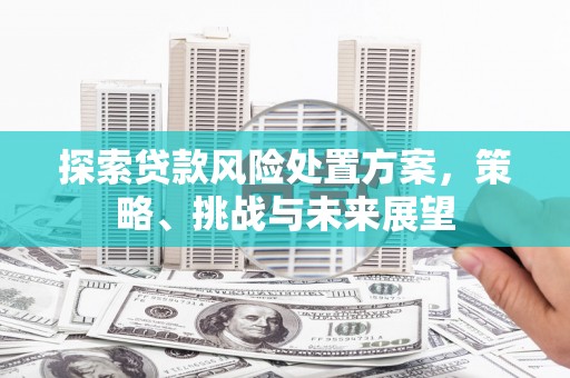 安乡探索贷款风险处置方案，策略、挑战与未来展望