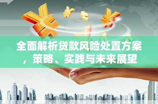 双溪全面解析贷款风险处置方案，策略、实践与未来展望