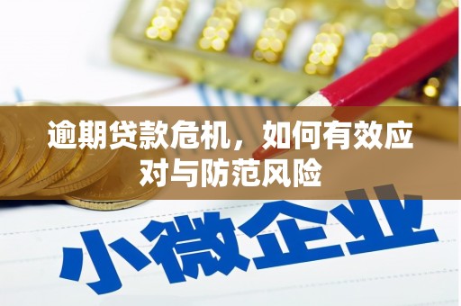 赣州逾期贷款危机，如何有效应对与防范风险