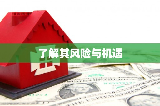镇安了解其风险与机遇