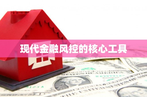 岭东现代金融风控的核心工具