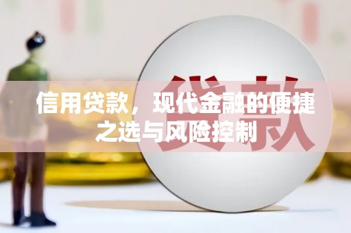 丰原信用贷款，现代金融的便捷之选与风险控制