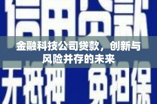 桑日金融科技公司贷款，创新与风险并存的未来