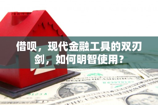 庄浪借呗，现代金融工具的双刃剑，如何明智使用？
