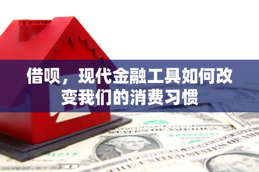 延平借呗，现代金融工具如何改变我们的消费习惯