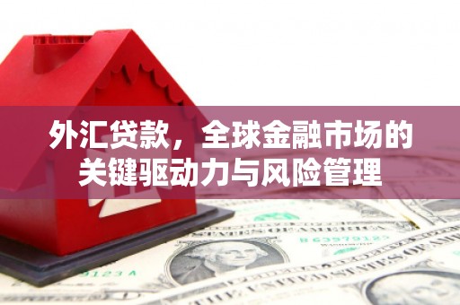 万柏林外汇贷款，全球金融市场的关键驱动力与风险管理