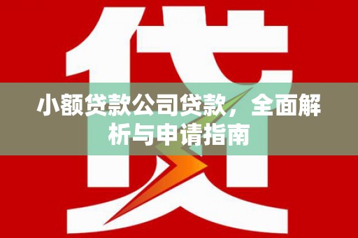黄梅小额贷款公司贷款，全面解析与申请指南