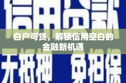 金安白户可贷，解锁信用空白的金融新机遇
