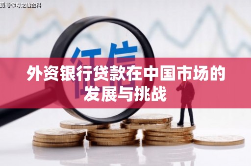 丰宁外资银行贷款在中国市场的发展与挑战