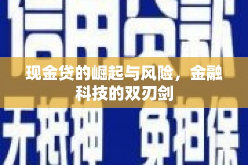 二水现金贷的崛起与风险，金融科技的双刃剑