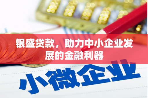 浦东银盛贷款，助力中小企业发展的金融利器