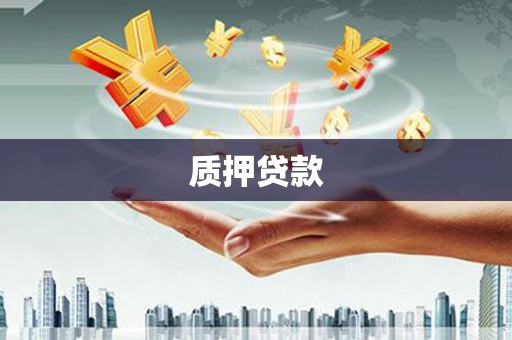 盐源质押贷款