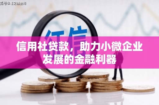 特克斯信用社贷款，助力小微企业发展的金融利器