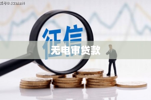 苑里无电审贷款