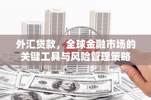 云岩外汇贷款，全球金融市场的关键工具与风险管理策略