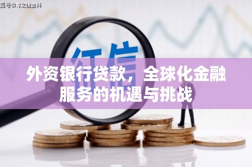 汶上外资银行贷款，全球化金融服务的机遇与挑战