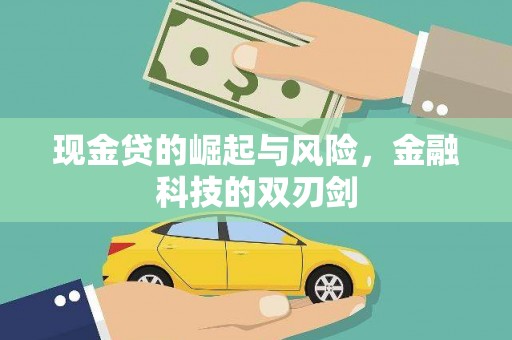 丰满现金贷的崛起与风险，金融科技的双刃剑