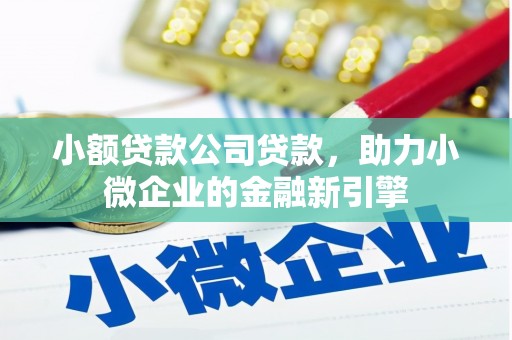 冷水江小额贷款公司贷款，助力小微企业的金融新引擎