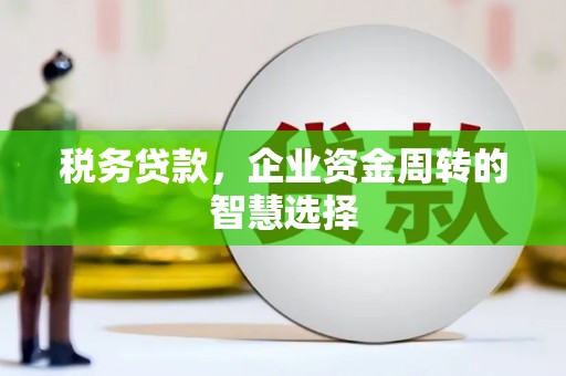 潮州税务贷款，企业资金周转的智慧选择