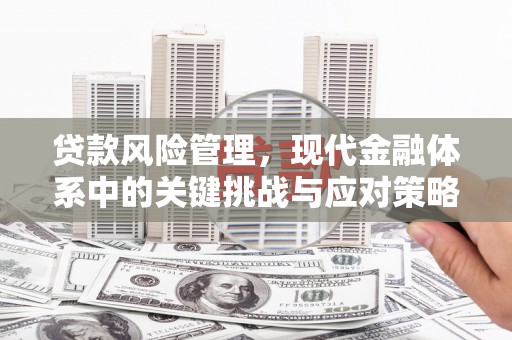 泰来贷款风险管理，现代金融体系中的关键挑战与应对策略