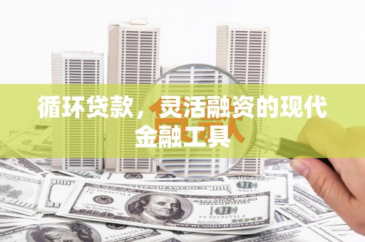 巴音郭楞蒙古循环贷款，灵活融资的现代金融工具