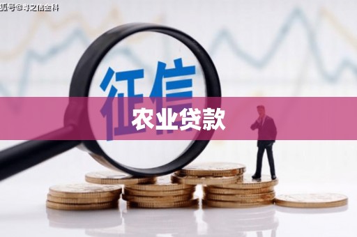 独山子农业贷款