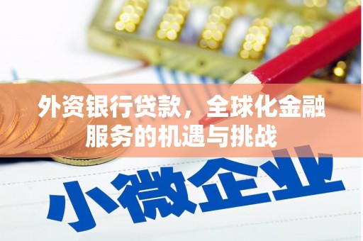 延平外资银行贷款，全球化金融服务的机遇与挑战