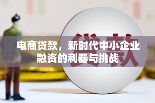田林电商贷款，新时代中小企业融资的利器与挑战