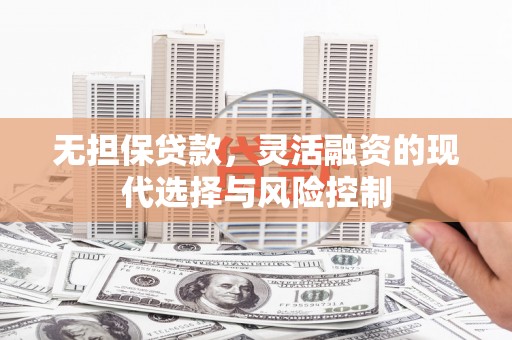田尾无担保贷款，灵活融资的现代选择与风险控制