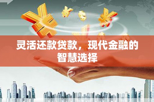 贞丰灵活还款贷款，现代金融的智慧选择