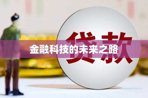 边坝金融科技的未来之路